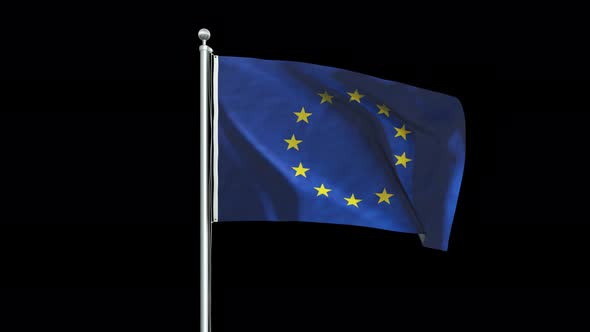 European Union Flag Big
