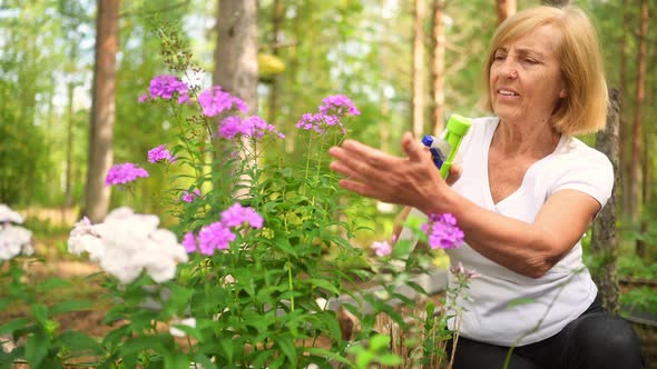 Elderly Senior Gardener Farmer Woman Caring Flowers in Summer Garden at Countryside Outdoors Sprays