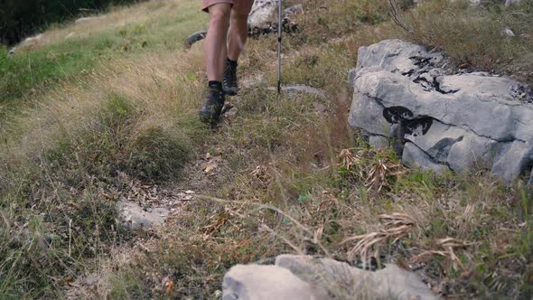 Tourist Hiker with Trekking Poles is Walking in the Mountains Legs Closeup
