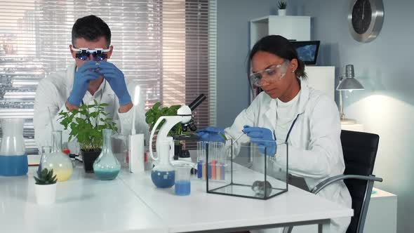 Black Female Scientist Dropping Fertilizer on Leaf and Giving to the Hamster in Chemistry Lab alt