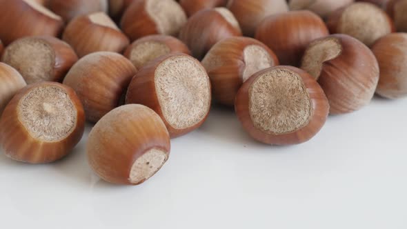 Close-up of Corylus avellana species of nuts  4K 2160p 30fps UltraHD tilting footage - Whole hazelnu alt