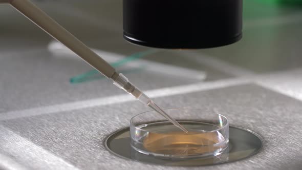 Drop of Cryoprotectant Placed Under Microscope alt