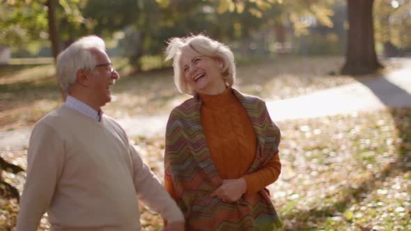 Handsome senior couple embracing in autumn park