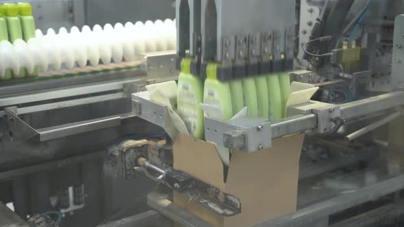 Robotic Line Packs Plastic Bottles Into Boxes