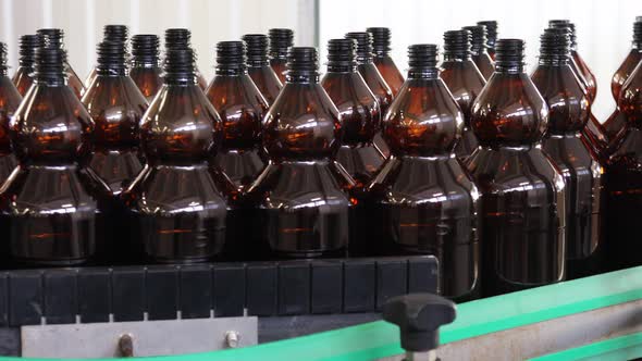 Plastic Bottles For Beer or Carbonated Beverage Moving on Conveyor