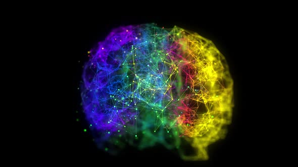 Colorful Digital Brain