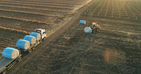 Aerial view of a tractor loading cotton bales on truck, Israel. alt