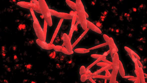 Realistic DNA Molecule Animation 4K alt