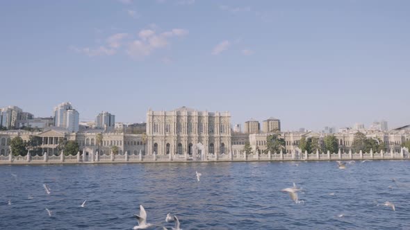 Amazing sea coastline and the city alt