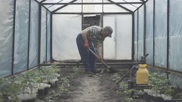 Grey-haired Caucasian Man Digging Ground with Shovel in Greenhouse. Side View of Senior Farmer alt