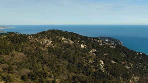 Awesome view of the forest alt