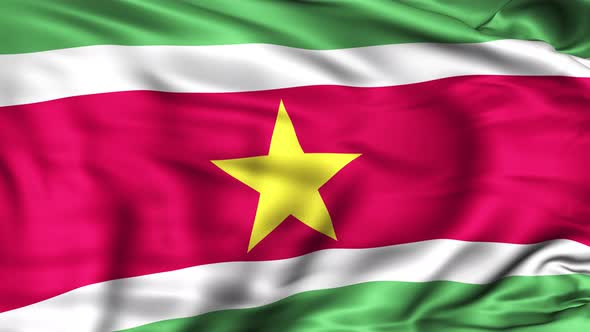 Suriname Flag alt
