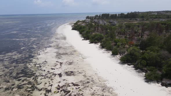 Shore of Zanzibar Island Tanzania at Low Tide alt