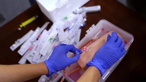 Dummy for practicing inserting catheter. alt