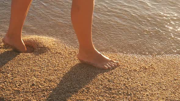 Women's Feet Close-up Walking Barefoot on the Beach, a Sandy Beach at Sunset. Feet Walking on Wet alt