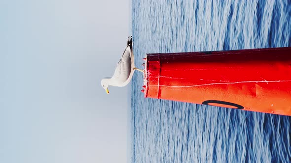 a Seagull Sits on a Red Stamp Regulating the Movement of Seagoing Vessels Calm Sea on a Sunny Day in alt