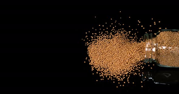 Mustard Seeds Falling on Black Background, Crockery, Slow Motion 4K alt