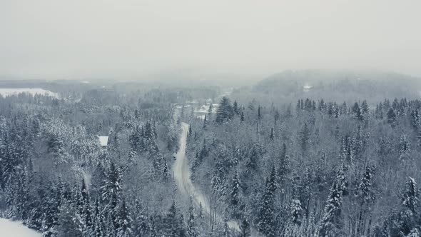 Foggy Winter Landscape - Drone Flying  - 4K - Mountains - Trees, rivers sequence 001/002 alt