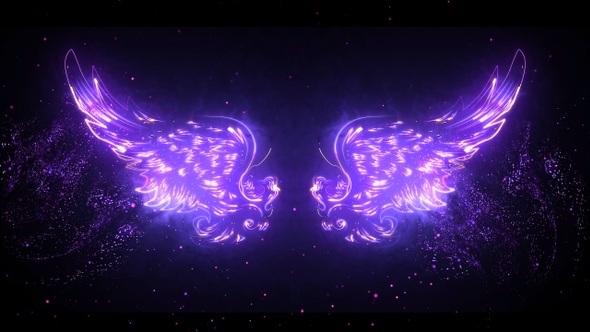 Abstract Wings