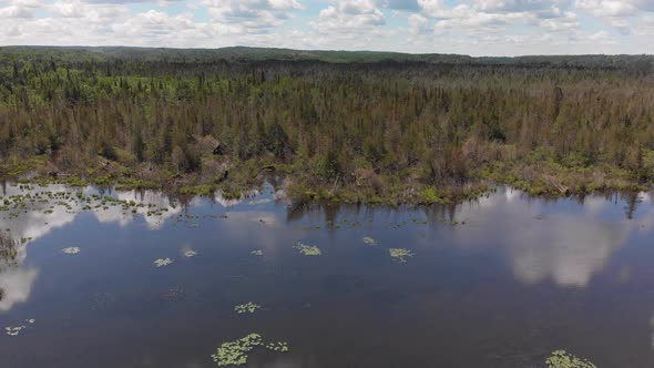  Aerial View Of Beautiful Wetlands With A Lake And Forest.
