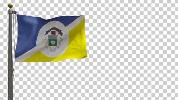 Winnipeg City Flag (Manitoba, Canada) on Flagpole with Alpha Channel - 4K alt
