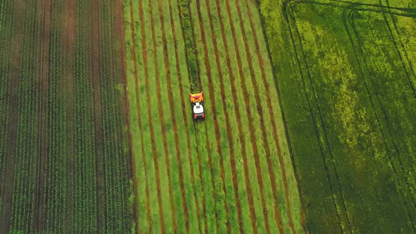 Aerial Top-down View of a Tractor Cutting Grain Moving on Beautiful Fresh Green Field.
