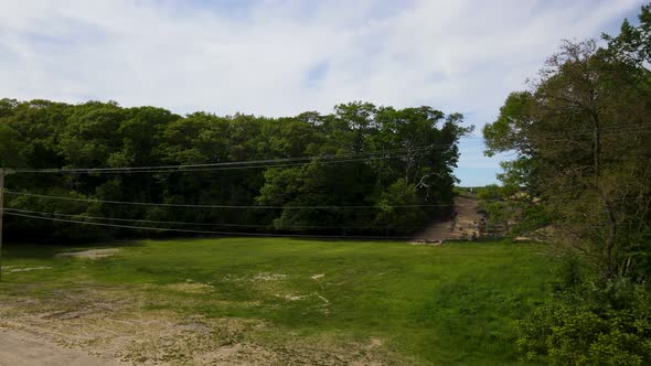 Lush blooming trees in Blufton. alt
