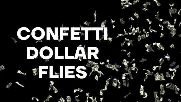 Confetti Dollar Flies