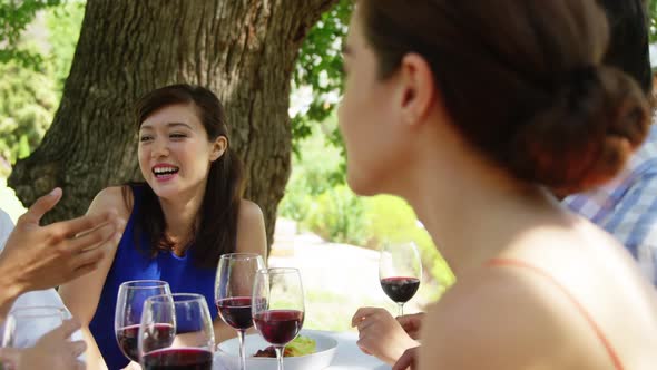Group of friends interacting with each other while having lunch alt