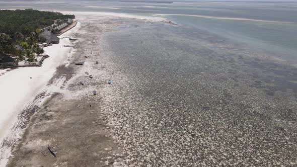 Low Tide in the Ocean Near the Coast of Zanzibar Tanzania Slow Motion alt