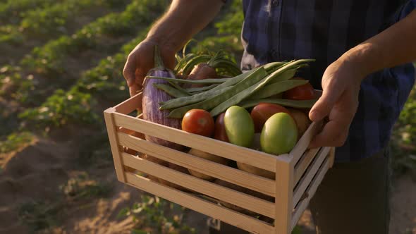 Farmer Hands Holding Wooden Box with Vegetables alt