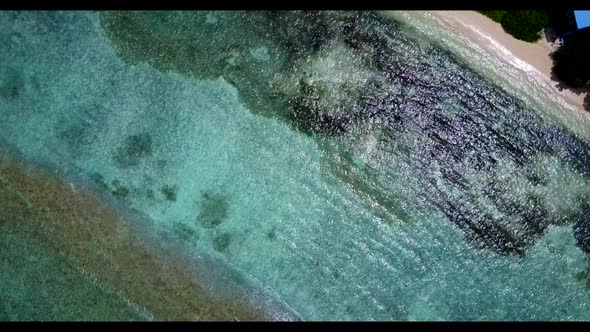 Aerial texture of tranquil shore beach wildlife by blue ocean with white sandy background of a dayou alt