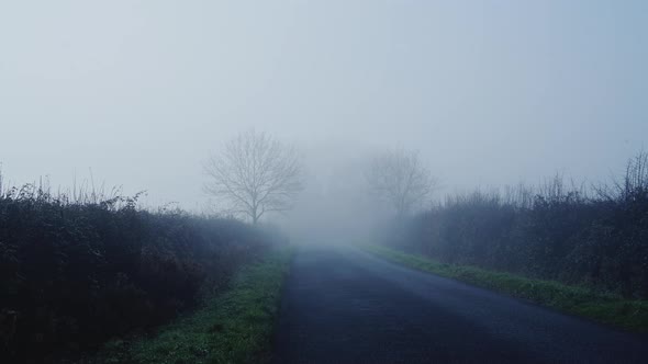 Rural narrow countryside road in thick fog and mist, dangerous bad driving conditions in foggy misty alt