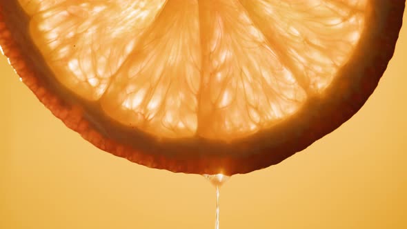 Juicy Orange Slice on Orange Background alt