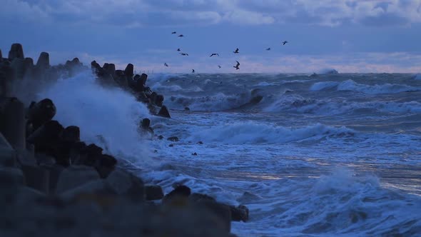 Big stormy waves breaking against Northern Pier wave breakers at Liepaja, overcast evening, seagulls alt