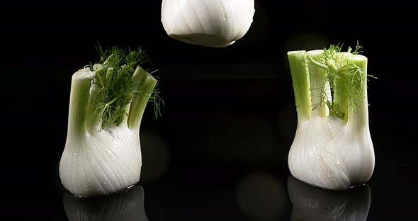900387 Fennel, foeniculum vulgare, Vegetable falling into Water against Black Background, Slow Motio alt