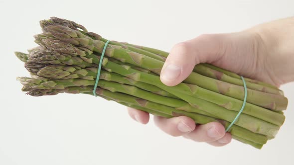 Green Asparagus in the Hand on a White Background