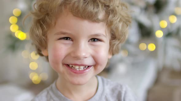Adorable Little Boy Smiling at Camera against Christmas Lights alt