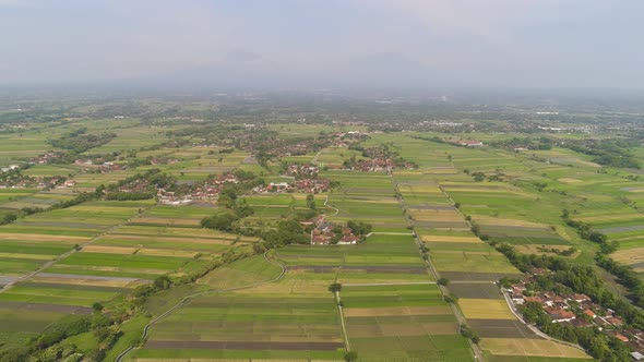 Rice Field and Agricultural Land in Indonesia alt