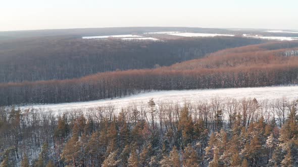 Return Drone Flying Over Forests and Fields on Winter Day in Clear Frosty Weather alt