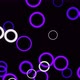 Purple and White Neon Circles Seamless Animation Background