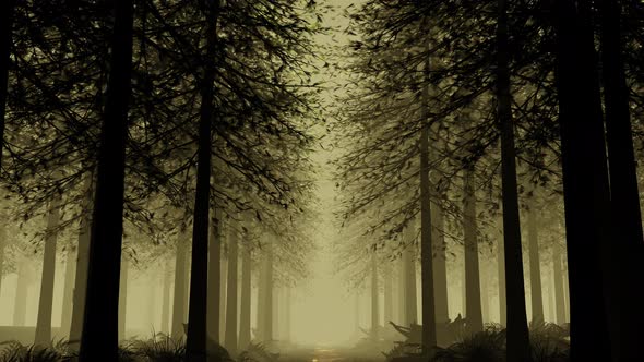 Deep In The Rainforest 01 4K alt