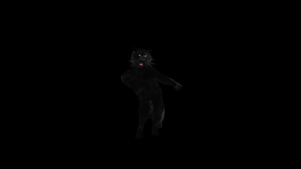 Panther Dancing HD alt
