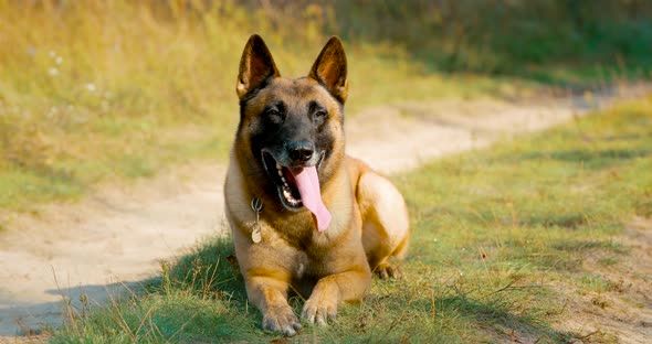 Handheld Shooting Handheld Shot alt