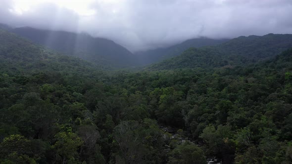 Cloudy Daintree Rainforest backward aerial over tree canopy with mountains, Mossman Gorge, Queenslan alt