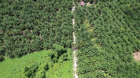 The Beaches at the most southern part of Borneo Island alt