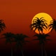 Palm Trees Background - VideoHive Item for Sale