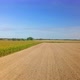 Flight Over Corn Field in Late Summer - VideoHive Item for Sale