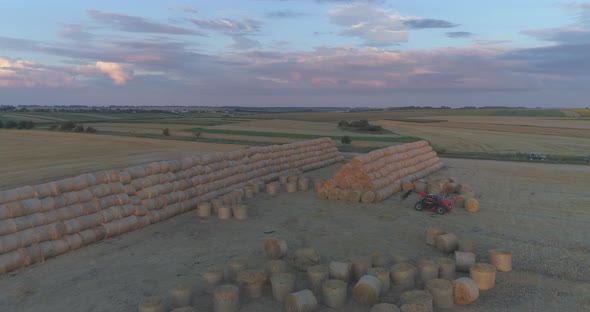 Field with hay bales stacks alt