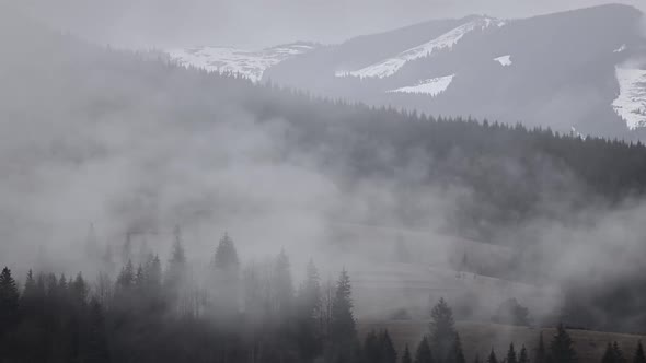 Shreds of Fog over Wooded Mountains